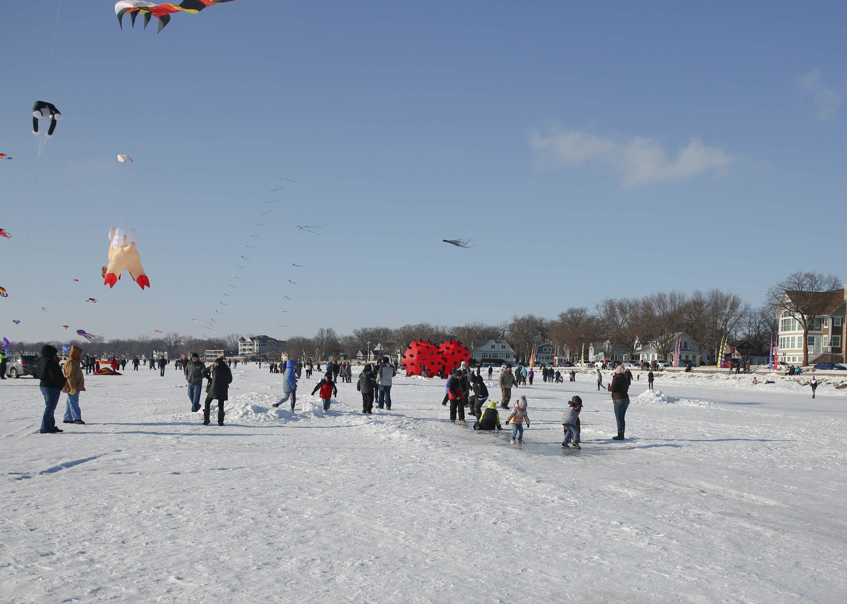 Color the Wind kite festival 02-15-2020 (33).jpg